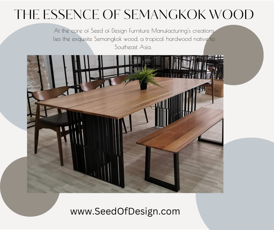 The Essence of Semangkok Wood